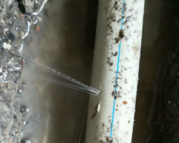 云安卫生间测漏水多少钱